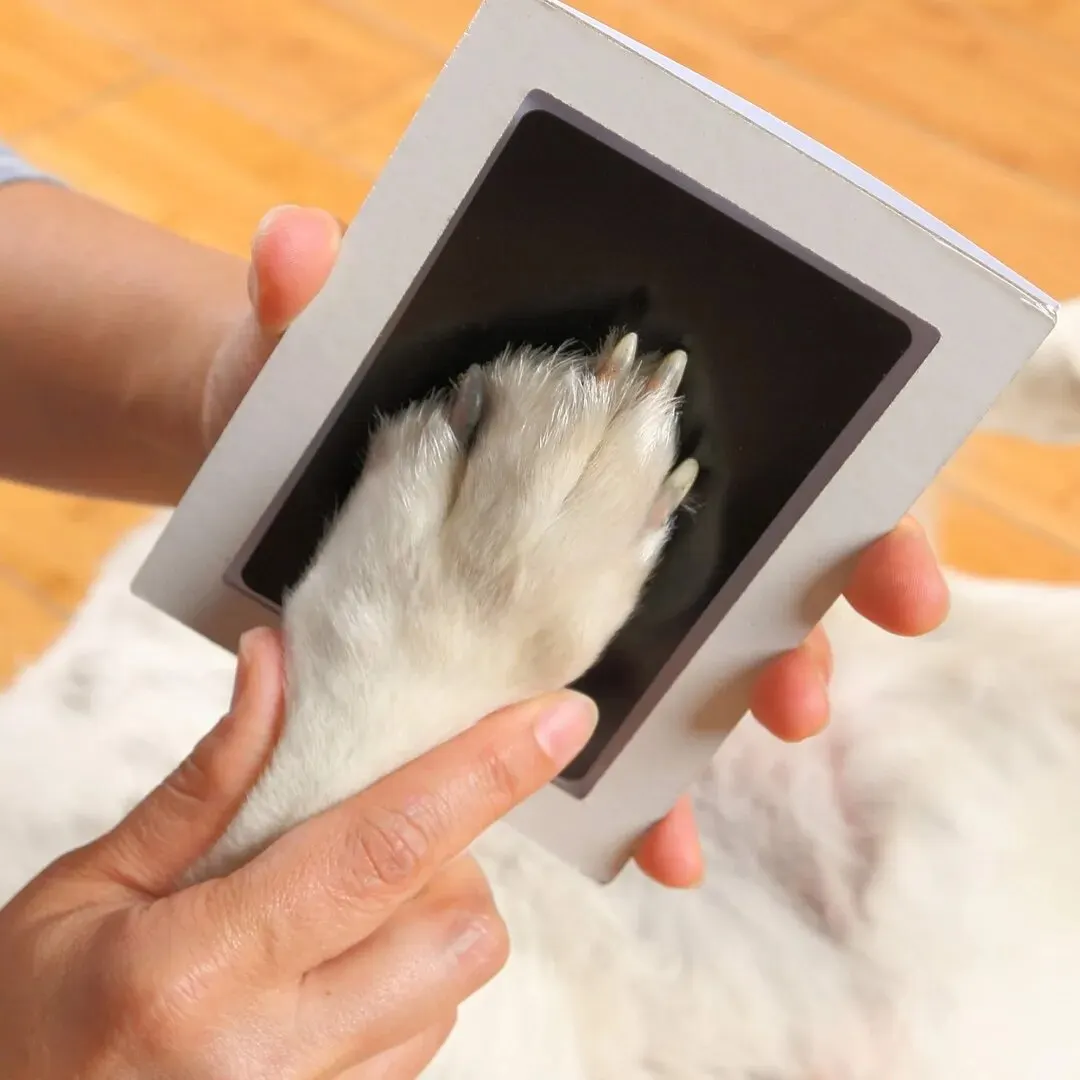 Pet Paw Print Keepsake Kit – Inkless Dog & Cat Paw and Nose Print Impression Pad
