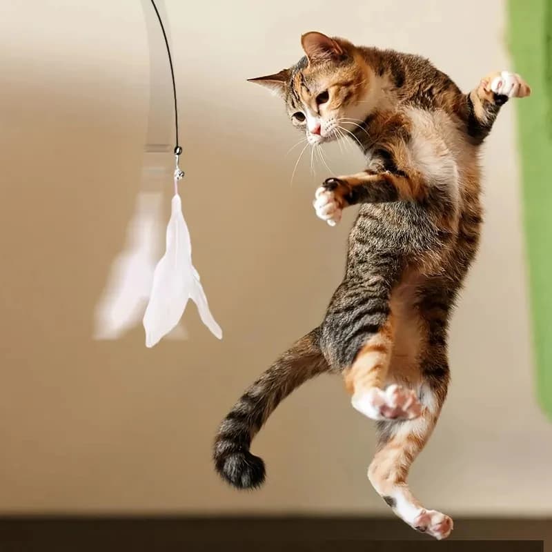 Interactive Cat Teaser Toy – Feather & Bell Wand with Long Suction Cup Pole for Cats