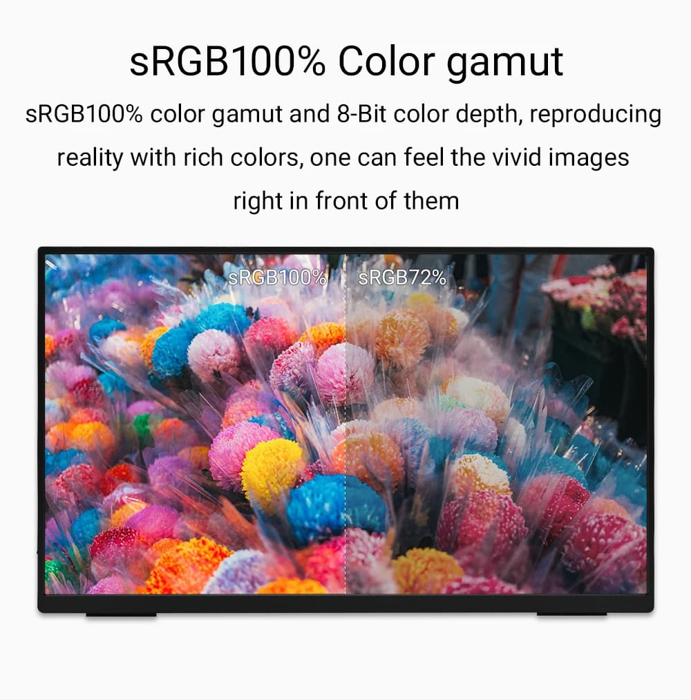ZSUS 18.5-Inch Portable Monitor – 1080P IPS 100Hz HDR Display with 100% sRGB & Dual Speakers