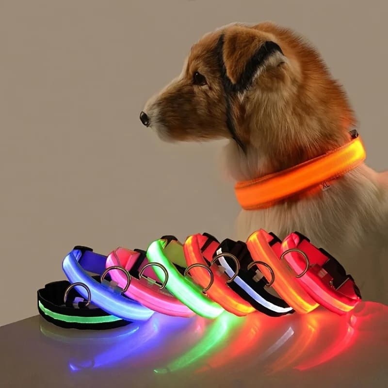 LED Luminous Dog Leash & Collar – Nylon Flashing Glow Pet Safety Leash for Night Walks