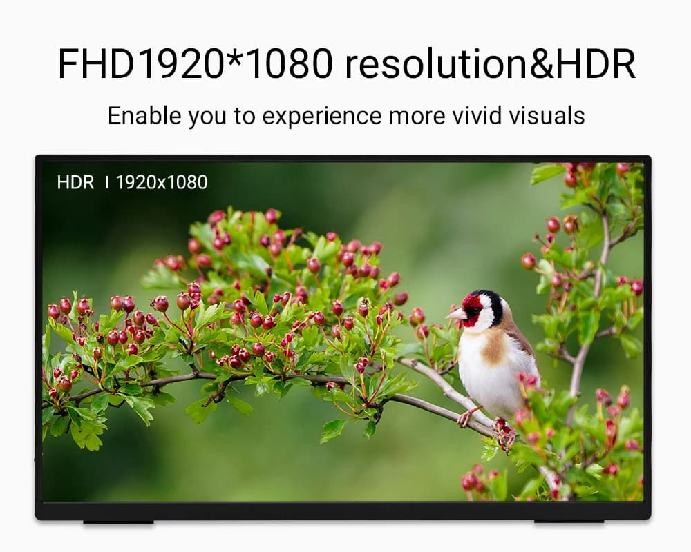 ZSUS 18.5-Inch Portable Monitor – 1080P IPS 100Hz HDR Display with 100% sRGB & Dual Speakers