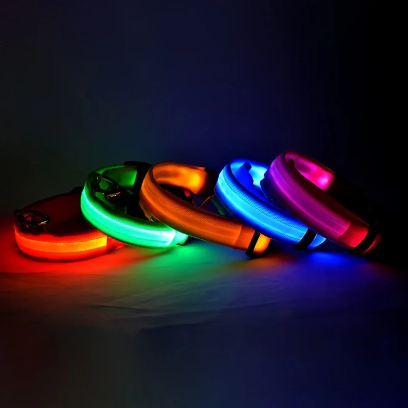 LED Luminous Dog Leash & Collar – Nylon Flashing Glow Pet Safety Leash for Night Walks