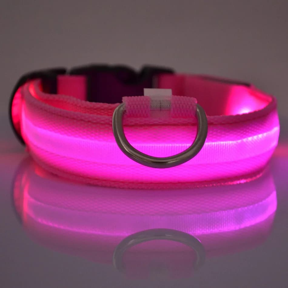 LED Luminous Dog Leash & Collar – Nylon Flashing Glow Pet Safety Leash for Night Walks