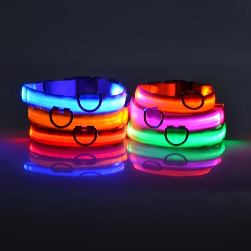 LED Luminous Dog Leash & Collar – Nylon Flashing Glow Pet Safety Leash for Night Walks