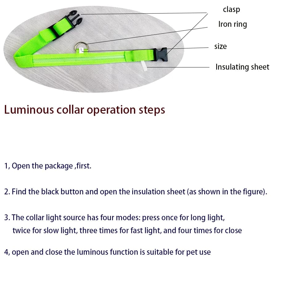 LED Luminous Dog Leash & Collar – Nylon Flashing Glow Pet Safety Leash for Night Walks